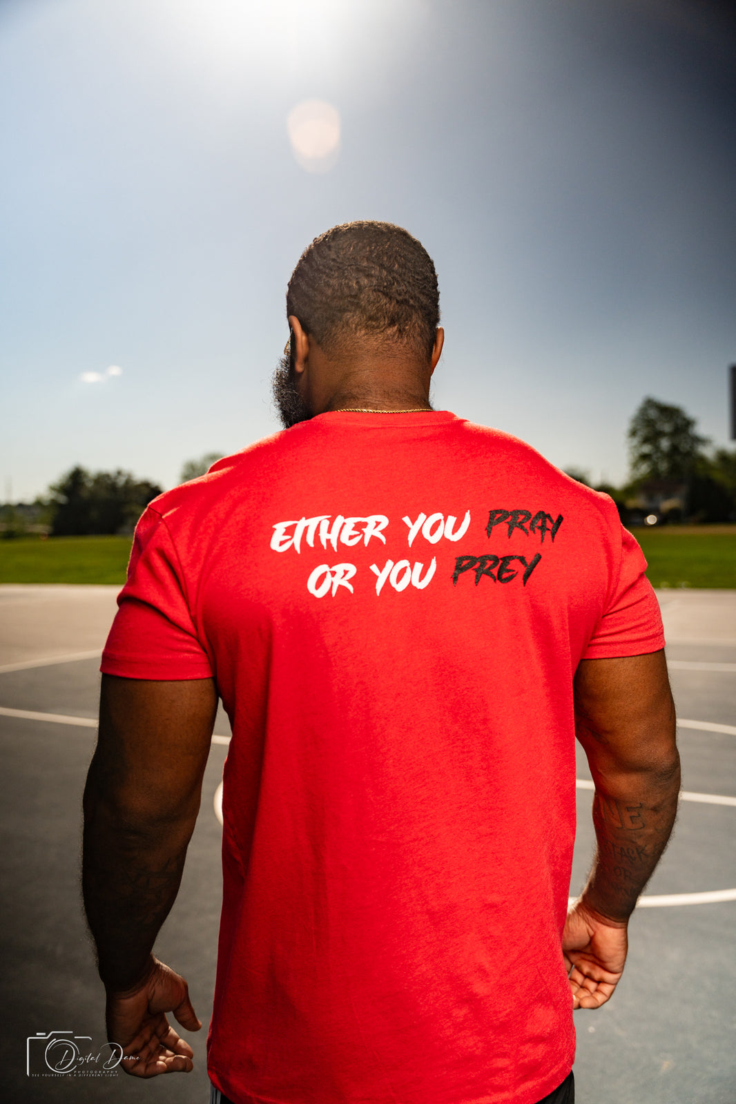 SWIFT GAINZ SZN 2 (EYPOYP)